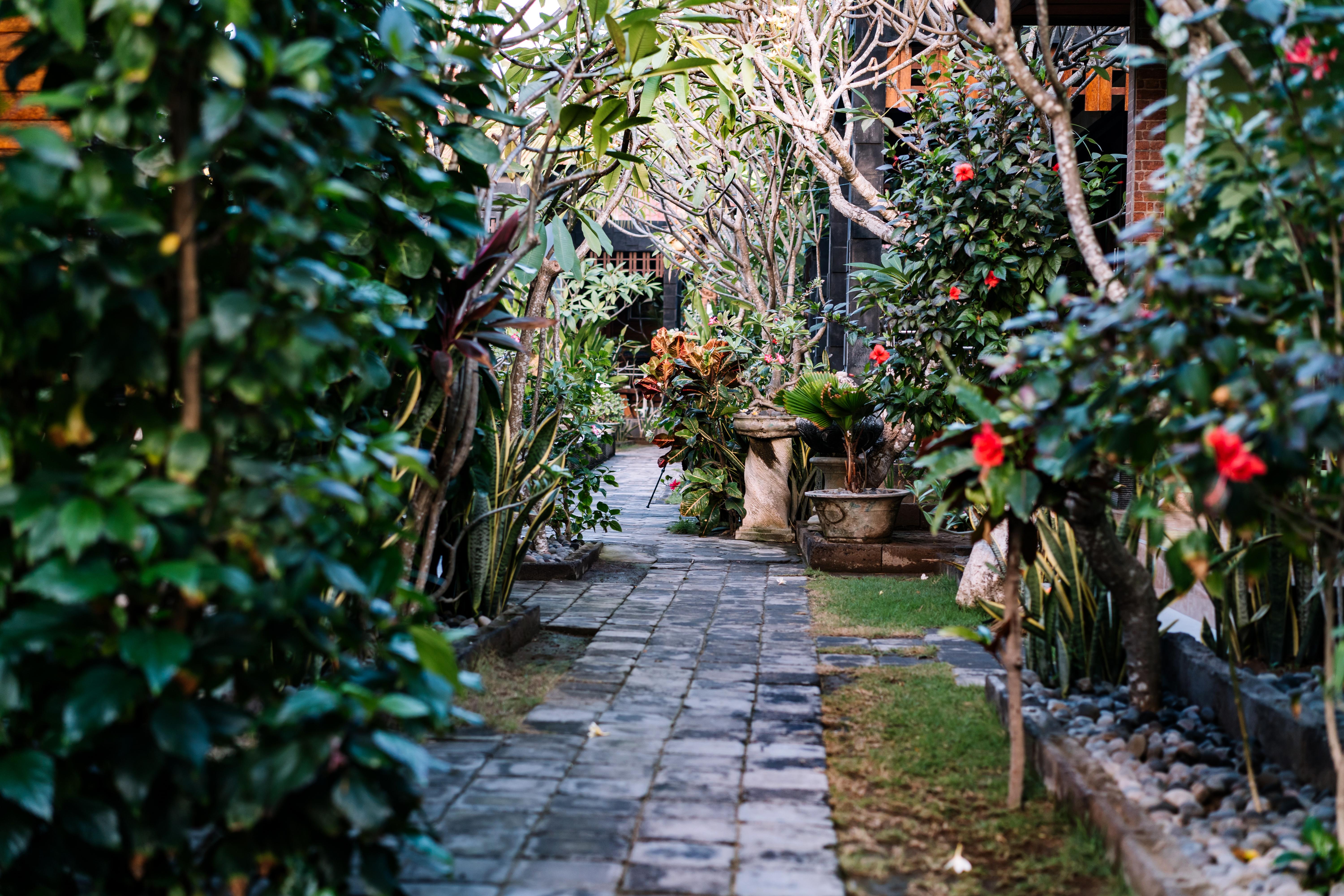 D And B Bungalow'S By Dewizz Management Lembongan Extérieur photo